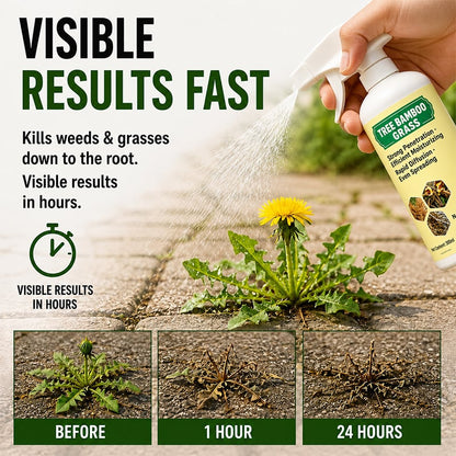 Fast-Acting Weed & Grass Killer Spray
