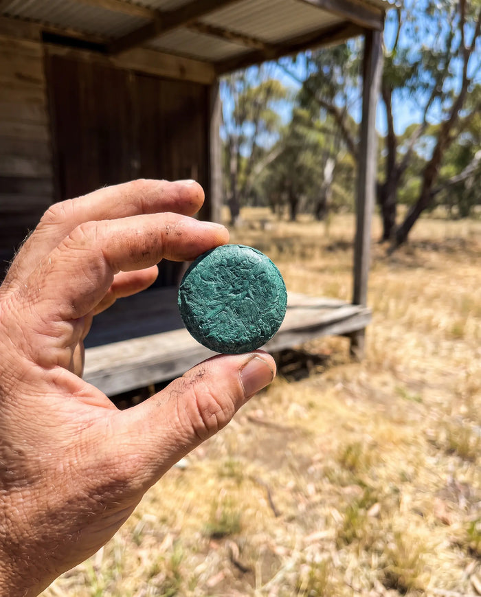 "No more snakes near the shed" — Jodie, NSW